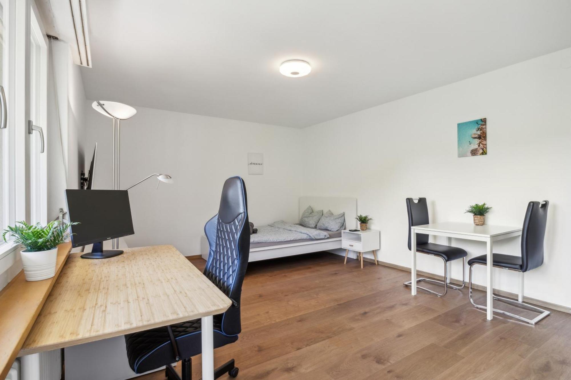 Pearlstay - Quiet Location Workplace Parking Washer Schaffhausen Eksteriør bilde