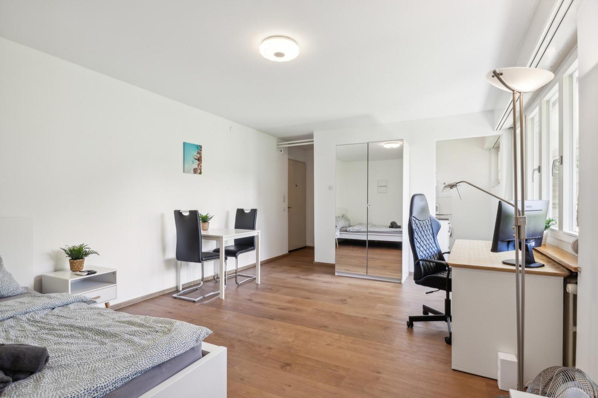 Pearlstay - Quiet Location Workplace Parking Washer Schaffhausen Eksteriør bilde